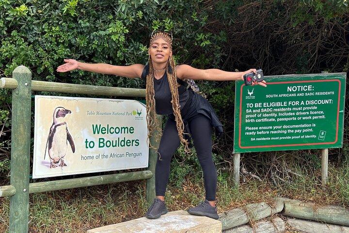 Boulders Beach Cape Town: Swimming With Penguin & Close Encounter Half Day Tour