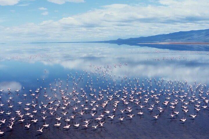 From Arusha: 3-Day Lake Natron Flamingo & Tarangire Safari