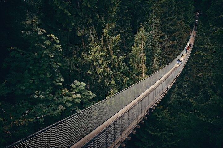 Vancouver Night Tour with Capilano & Grouse Mountain Dinner