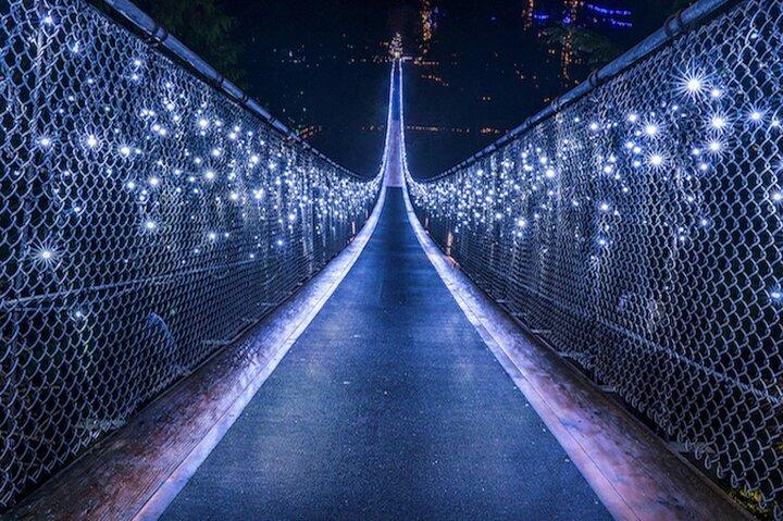 Vancouver Night Tour with Capilano & Grouse Mountain Dinner
