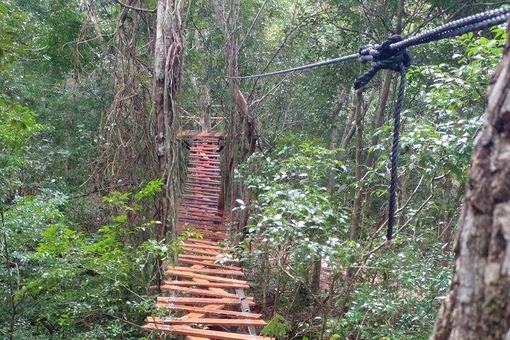 Shared ATV's and Zip Lines and Swimming in a Real Cenote.