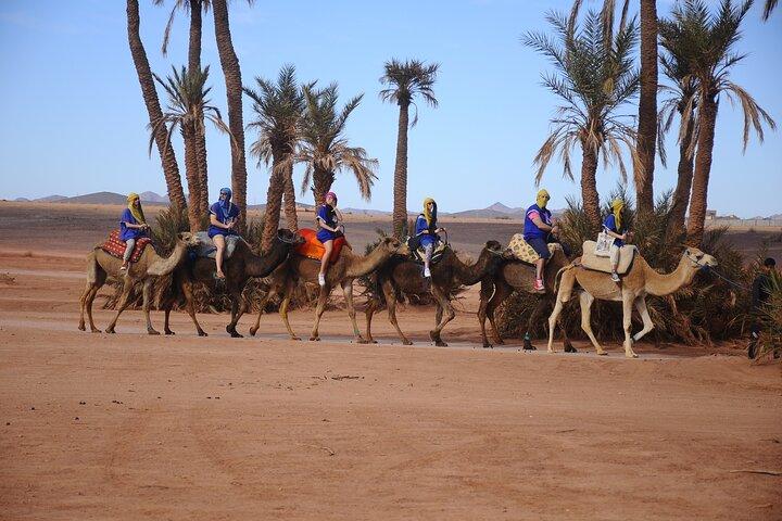 Marrakech: 2-Hour Quad Ride + 20-Min Camel Ride With Transfer
