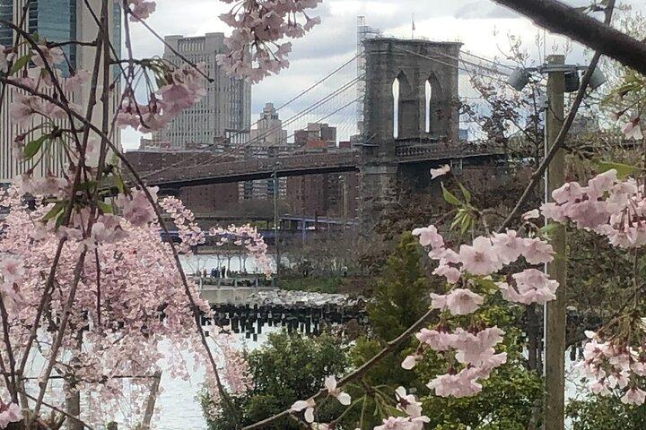 Walking tour in Manhattan Brooklyn Bridge and Waterfront
