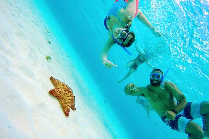 Starfish, Stingrays and the Cozumel Turtle Sanctuary Snorkel Tour