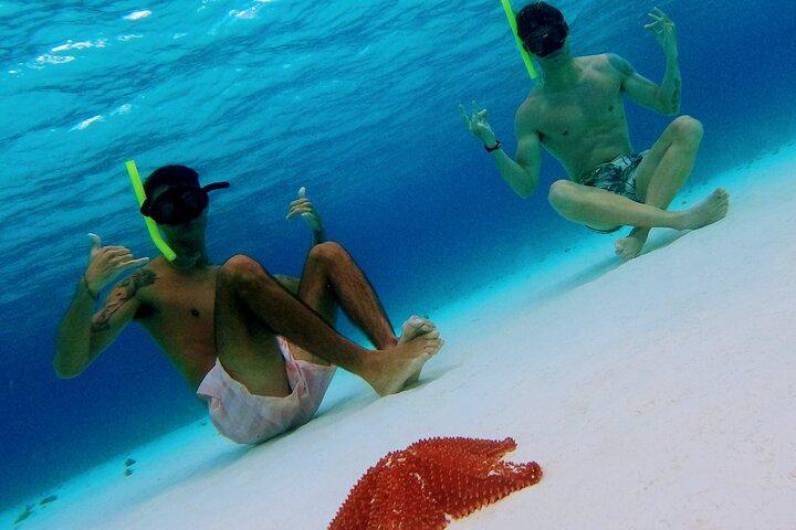 Starfish, Stingrays and the Cozumel Turtle Sanctuary Snorkel Tour