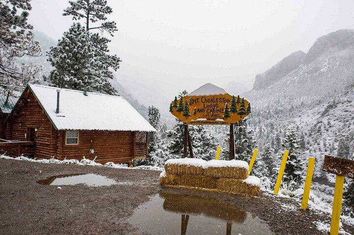Mount Charleston Tour from Las Vegas