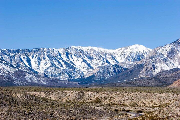 Mount Charleston Tour from Las Vegas