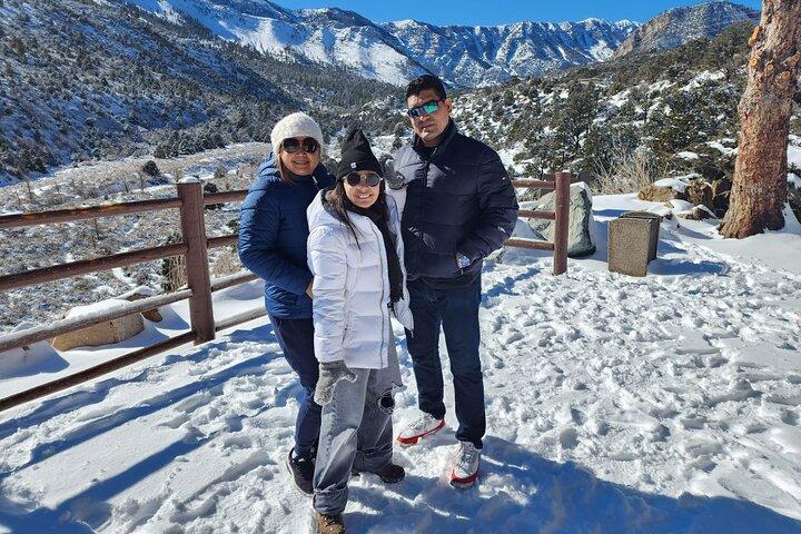 Mount Charleston Tour from Las Vegas