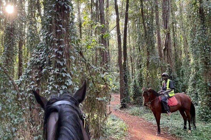 Nairobi Horseback Experience at Karura Forest
