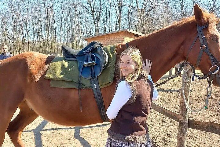 Private Horse Riding in the countryside and lunch with transport