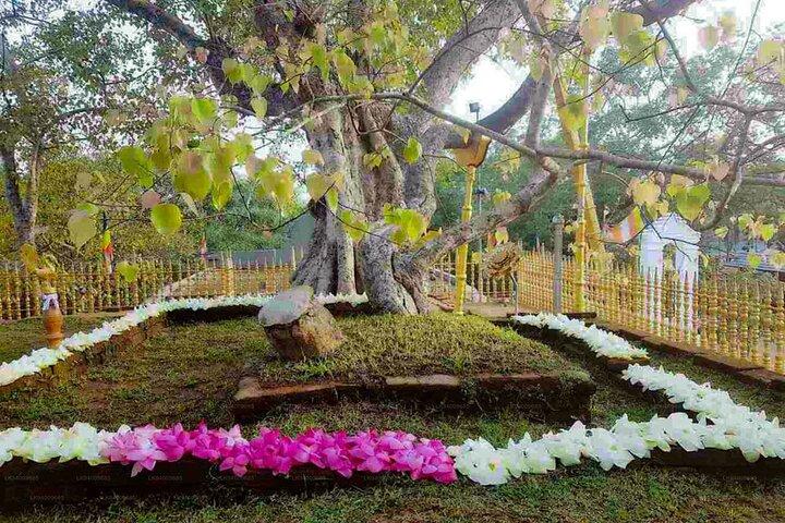 Aukana and Anuradhapura Day Tour From Polonnaruwa