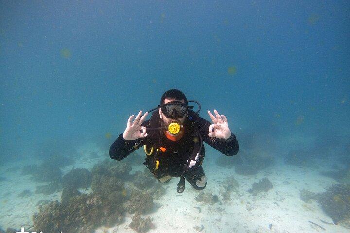 Scuba Diving Trips to Dimaniyat Islands
