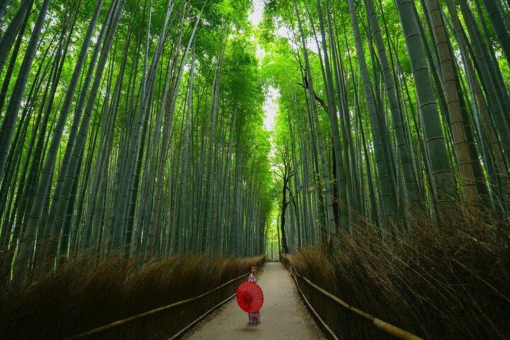 Kyoto Arashiyama Bamboo, Temple, Monkey or Local Mountain Brewery