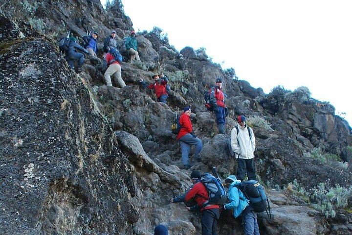 7-Days Tour Mount Kilimanjaro Trekking via Machame Route