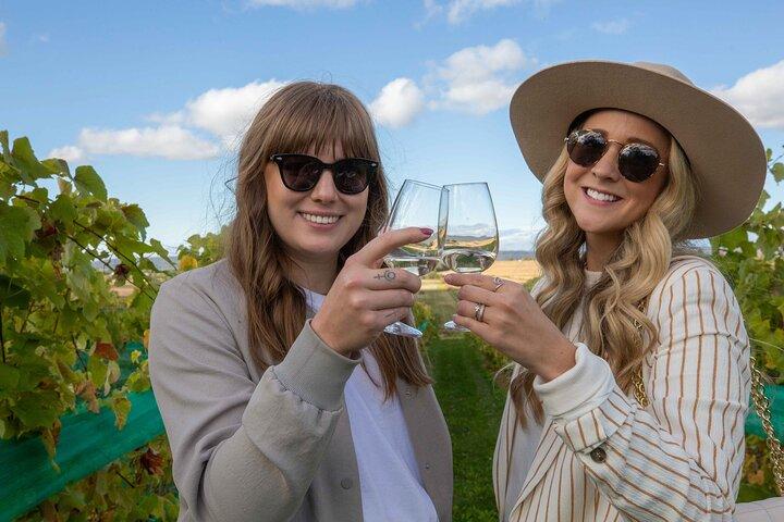 Wine Enthusiast Tour Lead by a Sommelier