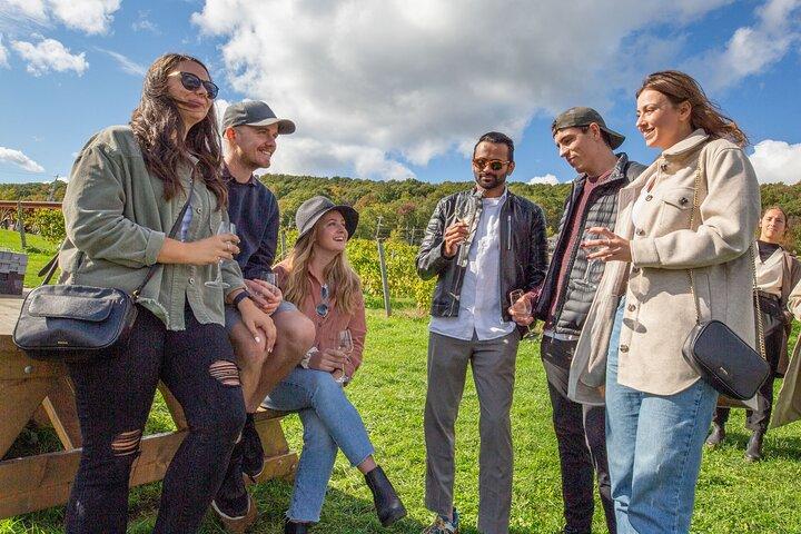 Wine Enthusiast Tour Lead by a Sommelier