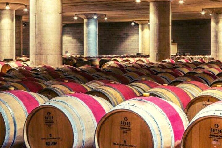 Sicilian Winery Tour with Wine Tasting from Palermo