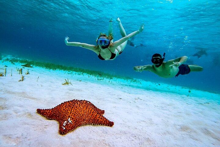 4 Hour Cozumel Reefs Snorkeling
