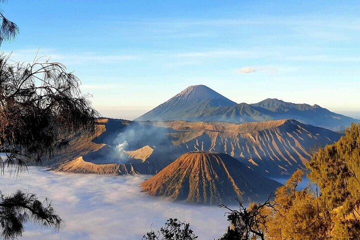 3 Days Private Tour in Bromo and Ijen from Surabaya