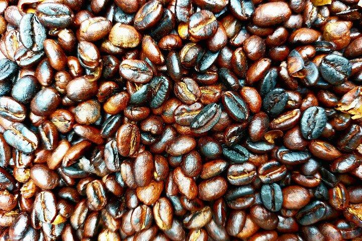 Materuni Waterfalls and Coffee Tour in Moshi