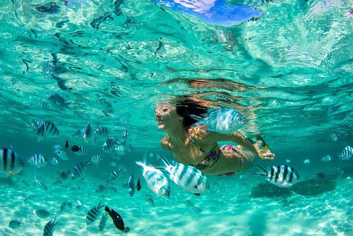 Phuket Coral Island Private Snorkeling Adventure All Inclusive