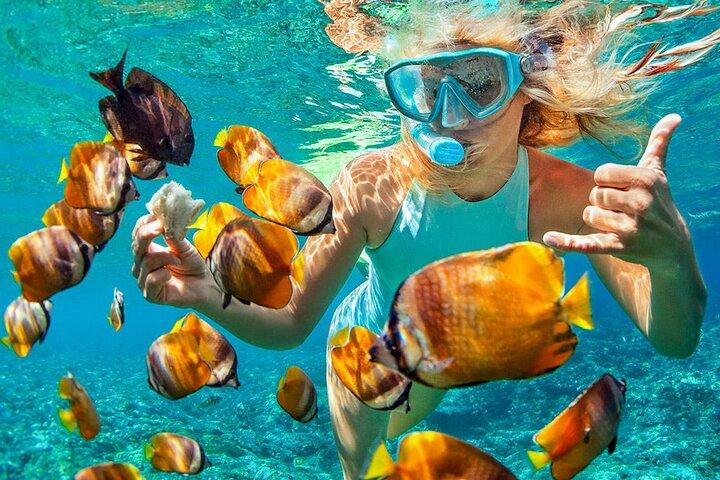 Phuket Coral Island Private Snorkeling Adventure All Inclusive