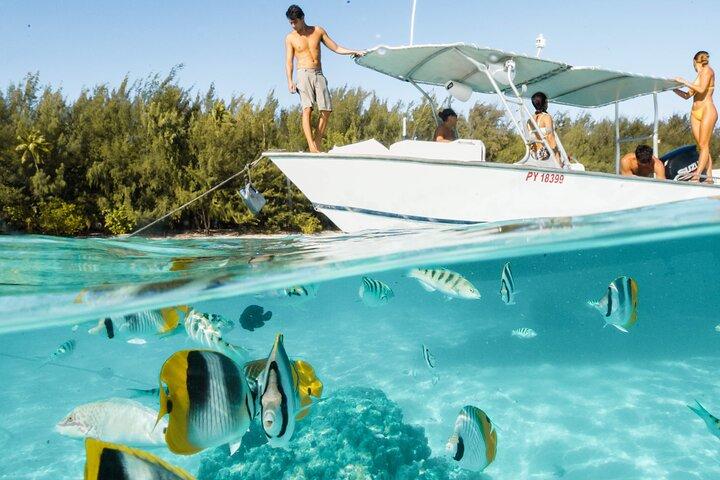 Half Day Tour lagoon discovery marine fauna flora small group