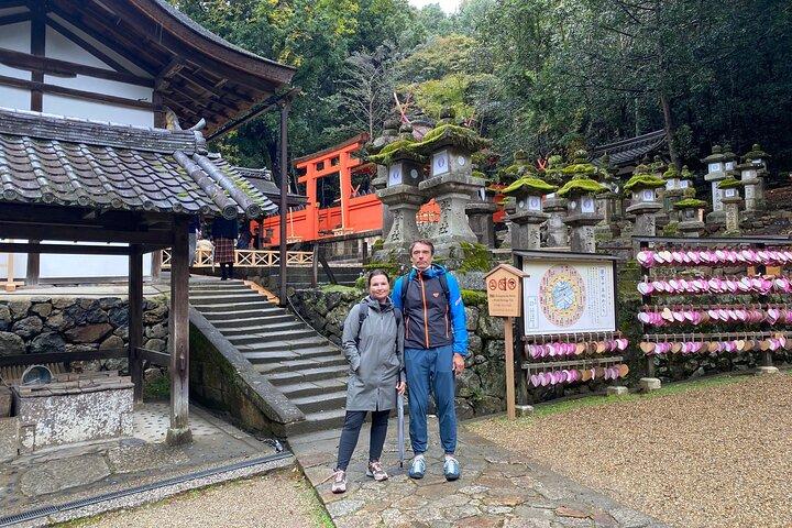 Private Tour to Nara from Osaka with English speaking Driver