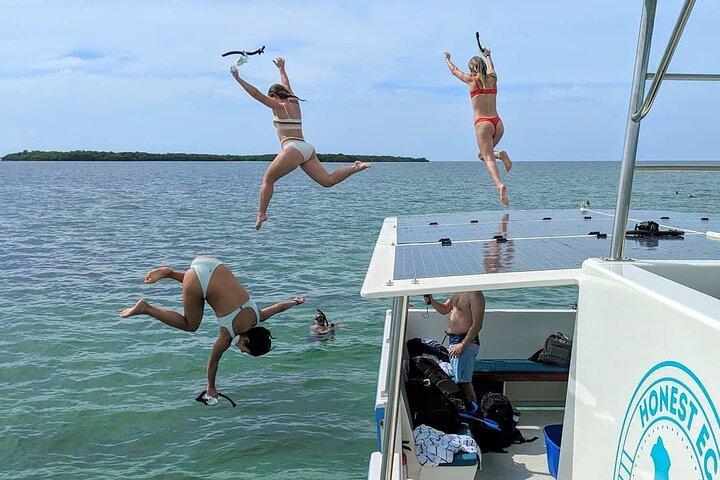 Biologist Owned & Operated: Dolphin Watching & Guided Snorkeling