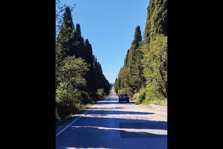 From Florence PRIVATE:Bolgheri Wine Tour,tasting among the Tuscany coastal hills
