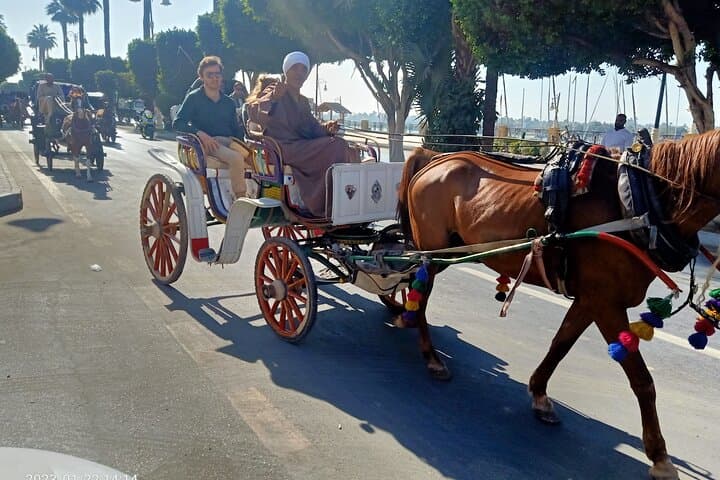 Discover Luxor City Tour by Horse Carriage