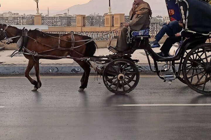 Discover Luxor City Tour by Horse Carriage