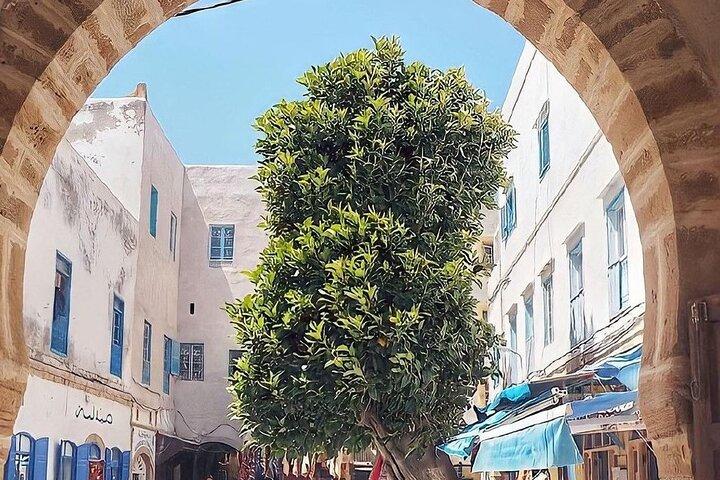 From Marrakech To Essaouira Mogador Full Day Trip | Small-group