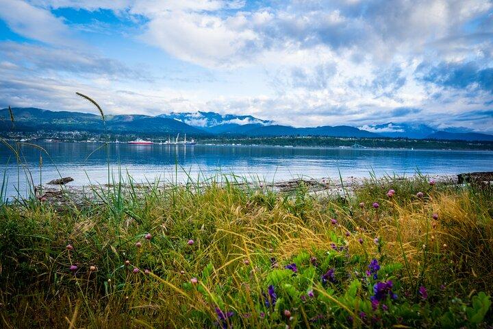 Electric Bike Ride on the Olympic Discovery Trail