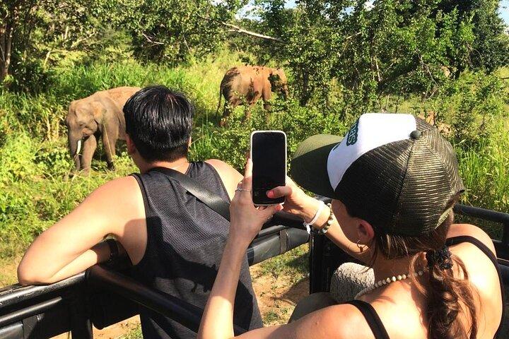 Day Tour to Dambulla, Sigiriya and Safari from Kandy (Group Tour)