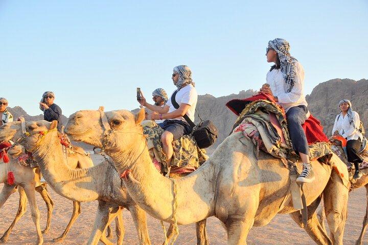 5 in 1 Safari Quad, Camel, Show, Dinner & Stargazing in Sharm
