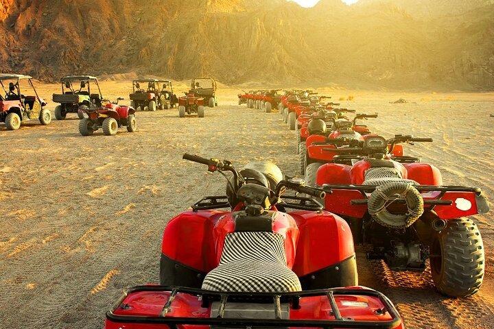 5 in 1 Safari Quad, Camel, Show, Dinner & Stargazing in Sharm