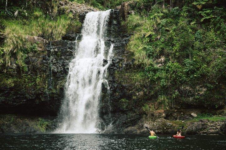 Big Island Waterfalls Tour with Swimming and Botanical Garden