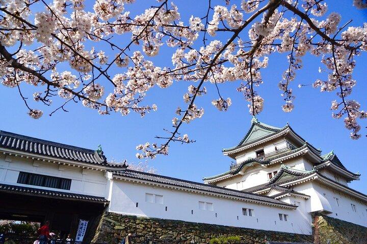 The Best of Wakayama City Private Tour