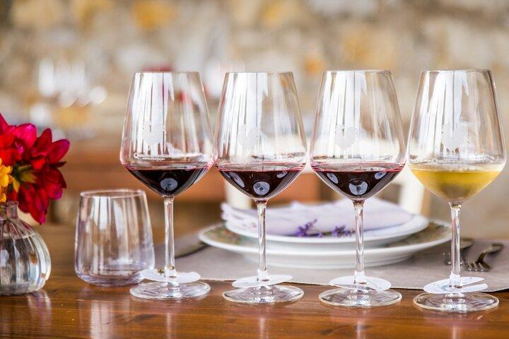 Semi Private Deep Wine Chianti and San Gimignano from Florence