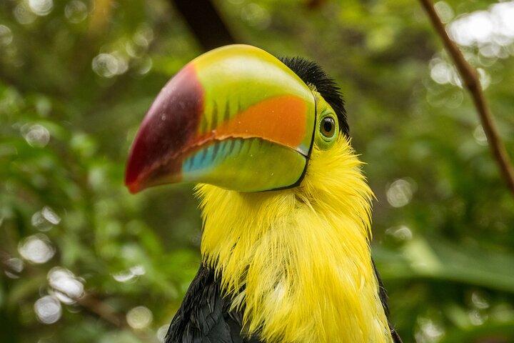 Skip the Line: Diamante Eco Adventure Park: Animal Sanctuary Discovery Ticket