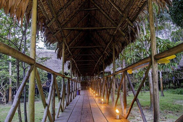 4-Day Iquitos Jungle Adventure at Muyuna Lodge