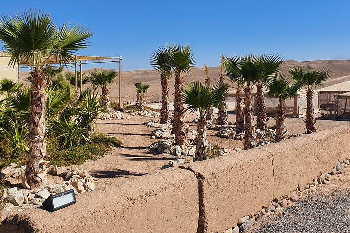 Agafay Desert, Sunset, Camel Ride And Diner