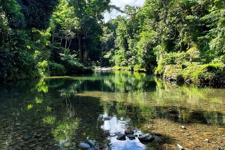 Rainforest and Junglequi Zipline Combo Tour