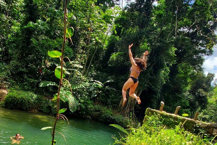 Rainforest and Junglequi Zipline Combo Tour