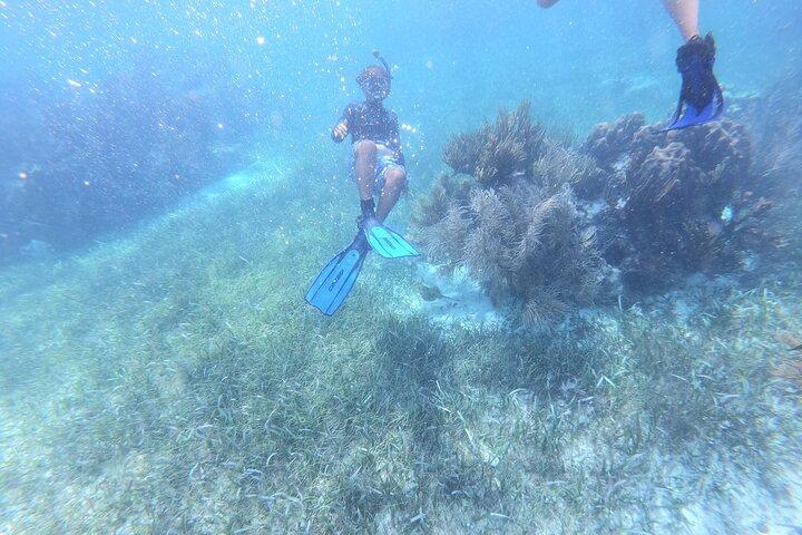 Reef Snorkel adventure in Puerto Morelos With Transport & Lunch