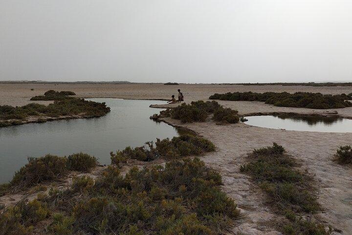 Discover the unusual sites of Dakhla in a 4x4 with a local guide