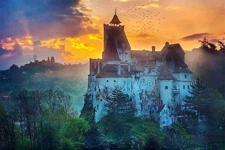 Brasov: Bear Sanctuary, Bran Castle & Rasnov Fortress GUIDED Tour