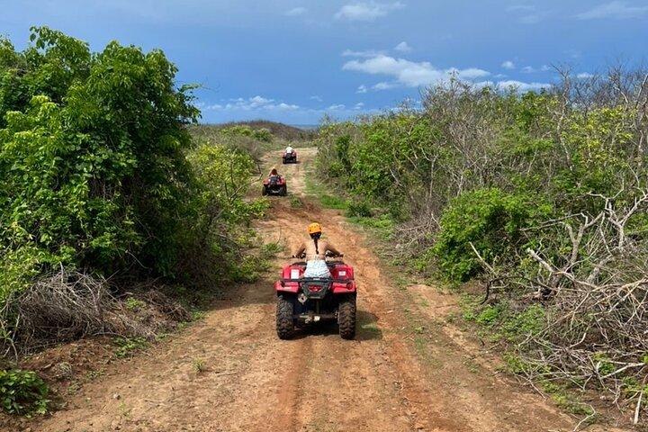Jungle and beach ATV tour + lunch + tequila tasting