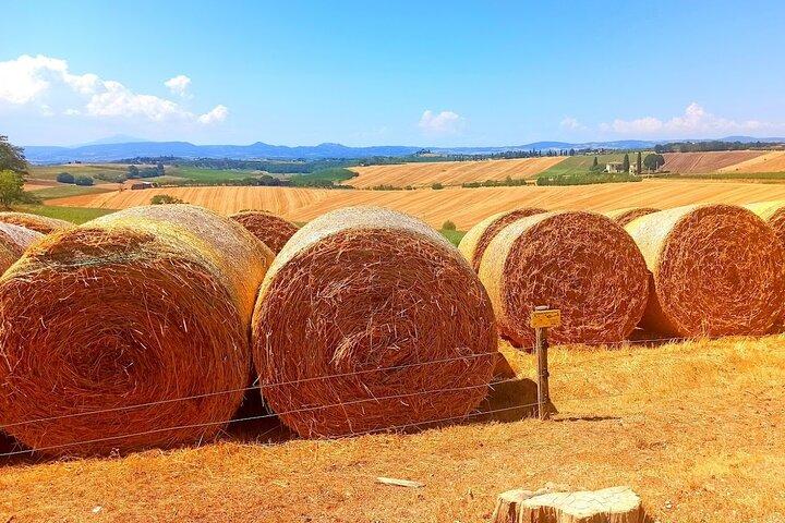 "Sweet Hills of Chianti & San Gimignano" with Lunch & 2 Tastings